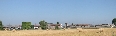 il campo di Grano a Cascina Monticello